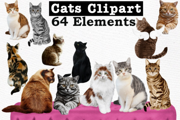 Download Cats Clipart Cat Breeds Cat Bundle - Cats Collection